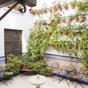 Casa De Mercedes Hotel Malaga